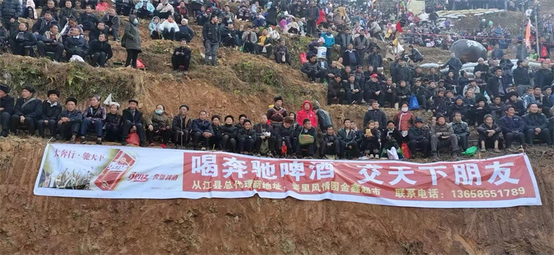 團隊風采