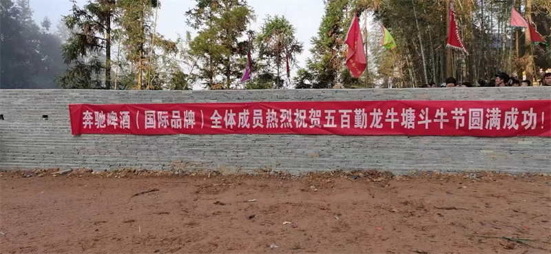 團隊風采